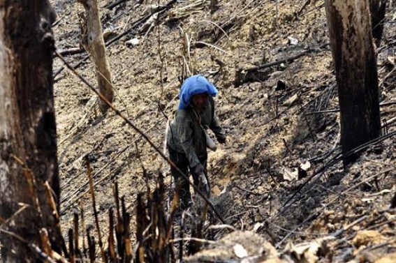 Jhumiya families living in insanitary, sub-human conditions, says ADC chief Jhumiya families living in insanitary, sub-human conditions, says ADC chief